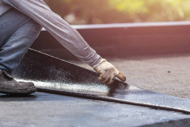 Professional Interior Drainage System technician working in Palestine, IL